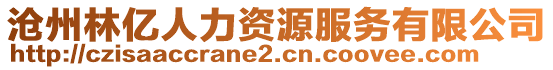 滄州林億人力資源服務(wù)有限公司