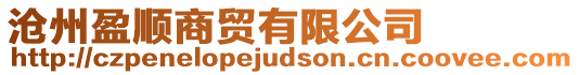 滄州盈順商貿有限公司