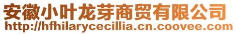 安徽小叶龙芽商贸有限公司