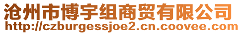 滄州市博宇組商貿(mào)有限公司