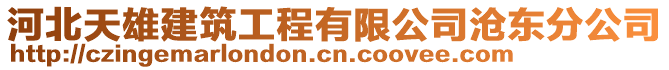 河北天雄建筑工程有限公司滄東分公司