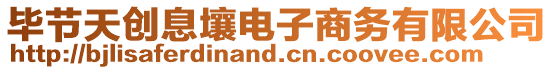 畢節天創息壤電子商務有限公司