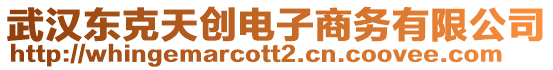 武漢東克天創(chuàng)電子商務(wù)有限公司