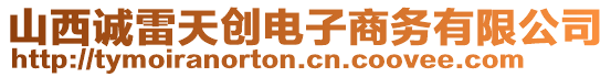 山西誠雷天創電子商務有限公司