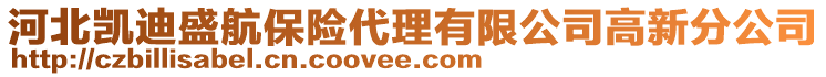 河北凱迪盛航保險代理有限公司高新分公司