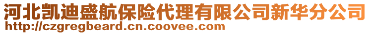 河北凱迪盛航保險代理有限公司新華分公司