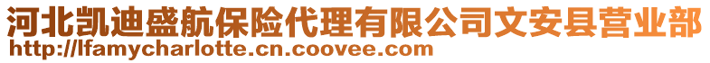 河北凱迪盛航保險代理有限公司文安縣營業(yè)部