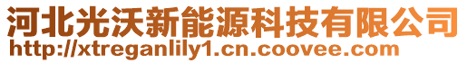 河北光沃新能源科技有限公司