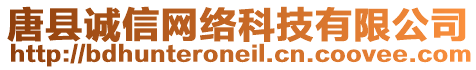 唐縣誠(chéng)信網(wǎng)絡(luò)科技有限公司