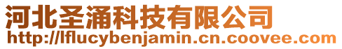 河北圣涌科技有限公司