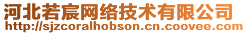 河北若宸網(wǎng)絡(luò)技術(shù)有限公司