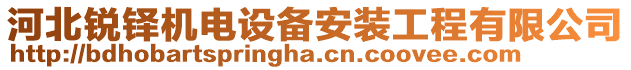 河北銳鐸機(jī)電設(shè)備安裝工程有限公司