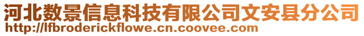 河北數(shù)景信息科技有限公司文安縣分公司