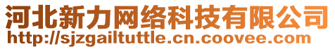 河北新力網(wǎng)絡(luò)科技有限公司