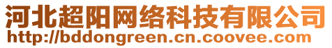 河北超陽網(wǎng)絡(luò)科技有限公司