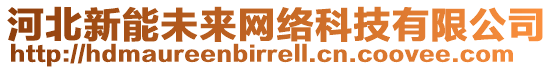 河北新能未來(lái)網(wǎng)絡(luò)科技有限公司