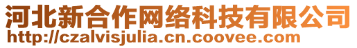 河北新合作网络科技有限公司