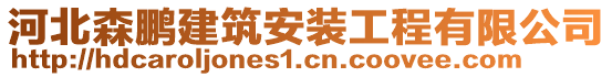 河北森鵬建筑安裝工程有限公司