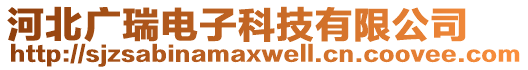 河北廣瑞電子科技有限公司