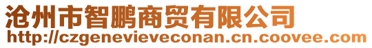 滄州市智鵬商貿有限公司