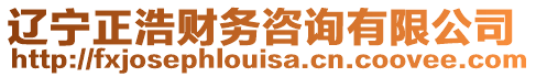 遼寧正浩財(cái)務(wù)咨詢有限公司