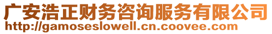 廣安浩正財(cái)務(wù)咨詢服務(wù)有限公司