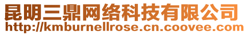 昆明三鼎網(wǎng)絡(luò)科技有限公司