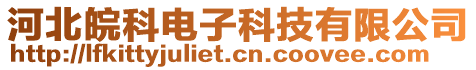 河北皖科電子科技有限公司