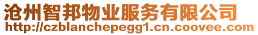 滄州智邦物業(yè)服務(wù)有限公司