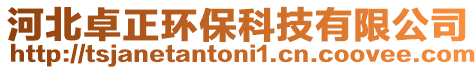 河北卓正環(huán)保科技有限公司