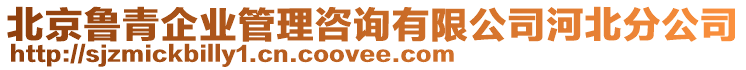 北京魯青企業(yè)管理咨詢有限公司河北分公司