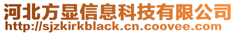 河北方顯信息科技有限公司