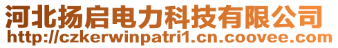 河北揚(yáng)啟電力科技有限公司