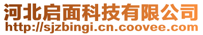 河北啟面科技有限公司