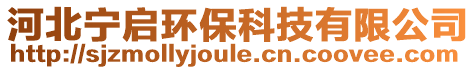 河北寧啟環(huán)保科技有限公司