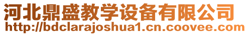 河北鼎盛教學設備有限公司