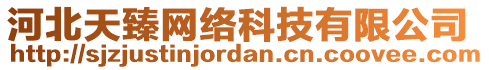 河北天臻網(wǎng)絡(luò)科技有限公司