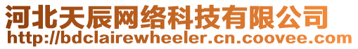 河北天辰網(wǎng)絡(luò)科技有限公司