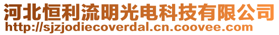 河北恒利流明光电科技有限公司