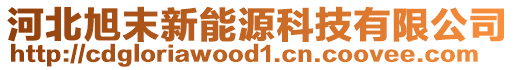 河北旭末新能源科技有限公司