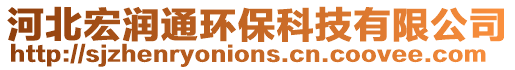 河北宏潤通環保科技有限公司