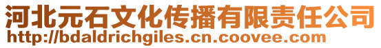 河北元石文化傳播有限責任公司