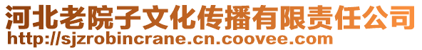 河北老院子文化傳播有限責(zé)任公司