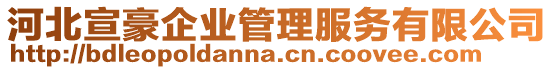 河北宣豪企業(yè)管理服務有限公司