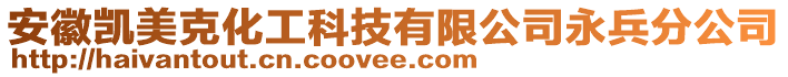 安徽凱美克化工科技有限公司永兵分公司