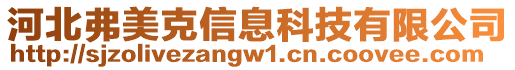 河北弗美克信息科技有限公司