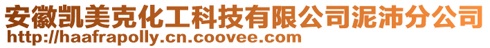 安徽凱美克化工科技有限公司泥沛分公司