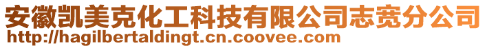 安徽凱美克化工科技有限公司志寬分公司