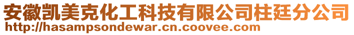 安徽凱美克化工科技有限公司柱廷分公司