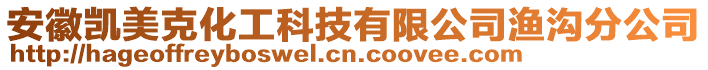 安徽凱美克化工科技有限公司漁溝分公司